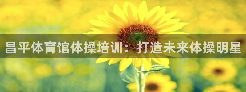 耀世娱乐含山设备：昌平体育馆体操培训：打造未来体操明