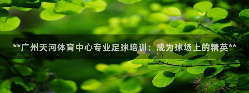 耀世平台会员中心在哪：**广州天河体育中心专业足球培