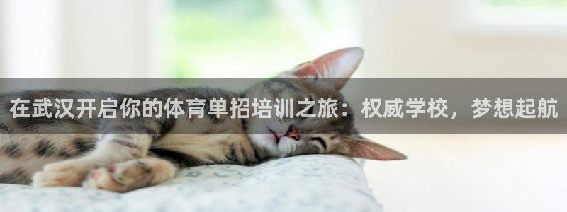 耀世平台李 411O31 耀世：在武汉开启你的体育单
