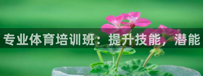 耀世集团是什么电影院：专业体育培训班：提升技能，潜能