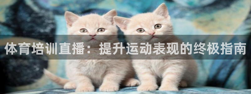 耀世娱乐代理什么待遇可以做：体育培训直播：提升运动表