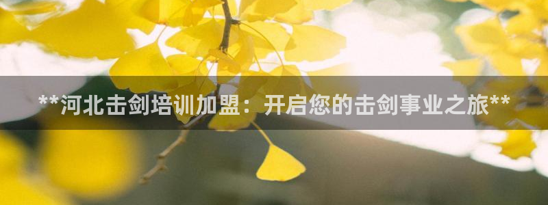 耀世娱乐登陆官网网址：**河北击剑培训加盟：开启您的
