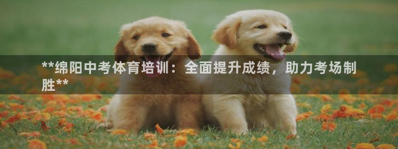 耀世娱乐代理什么待遇：**绵阳中考体育培训：全面提升