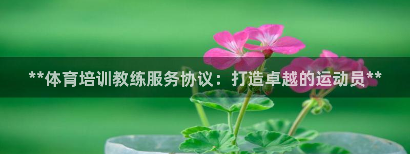 耀世娱乐是不是很黑呀：**体育培训教练服务协议：打造