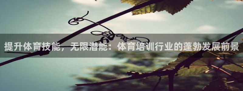耀世国际平台正规吗可信吗安全吗：提升体育技能，无限潜能：体育