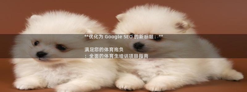 耀世娱乐骗局是真的吗：**优化为 Google SEO 的新