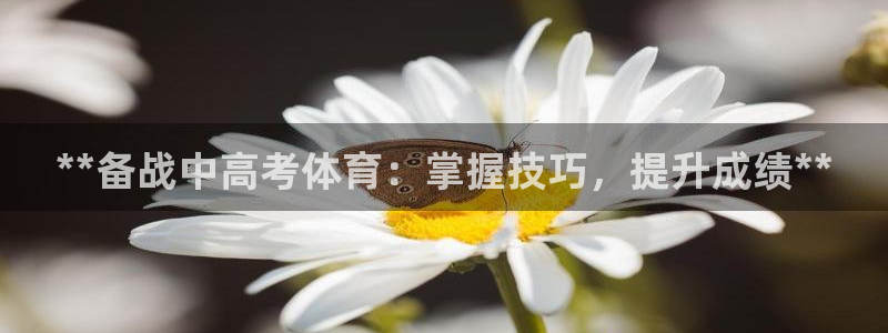 耀世油烟机价格及图片：**备战中高考体育：掌握技巧，提升成绩