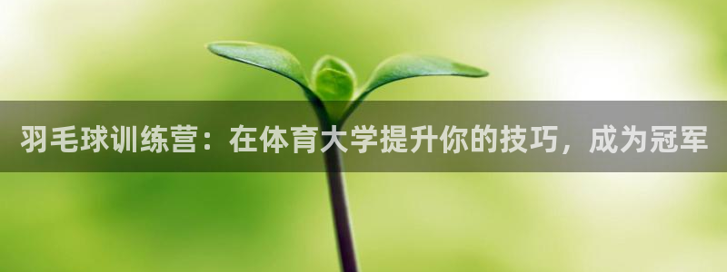 耀世平台注册链接失败：羽毛球训练营：在体育大学提升你