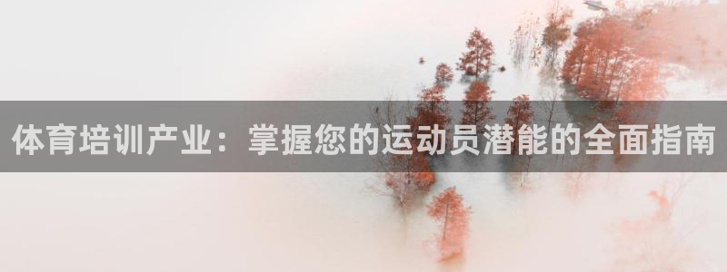 耀世娱乐挂机怎么玩：体育培训产业：掌握您的运动员潜能的全面指