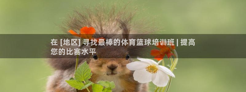 耀世娱乐在线登录官网入口网址：在 [地区] 寻找最棒的体育篮
