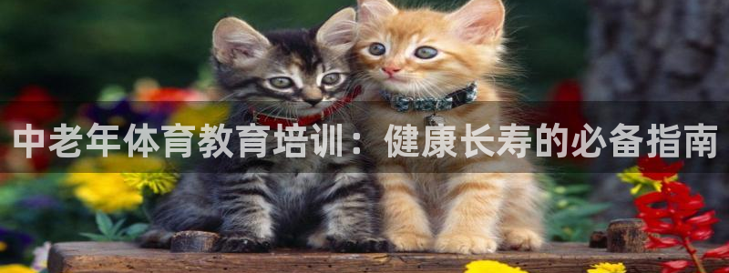 耀世娱乐辅助软件下载官网：中老年体育教育培训：健康长