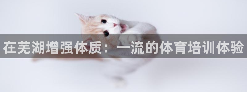 耀世娱乐脚本不死挂机