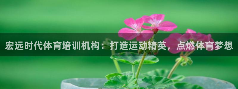 耀世娱乐注册账号：宏远时代体育培训机构：打造运动精英，点燃体