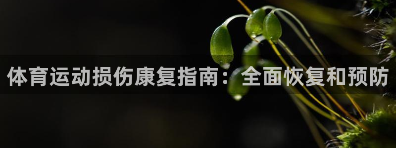 耀世娱乐挂机脚本：体育运动损伤康复指南：全面恢复和预