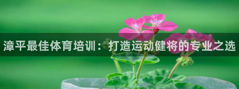 耀世令是什么：漳平最佳体育培训：打造运动健将的专业之