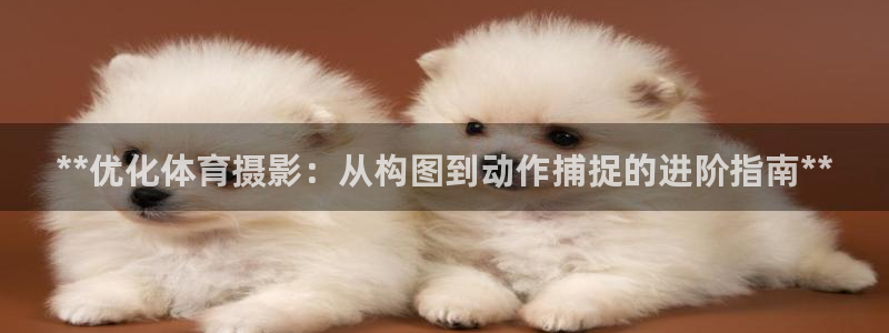耀世娱乐是不是很黑呀：**优化体育摄影：从构图到动作