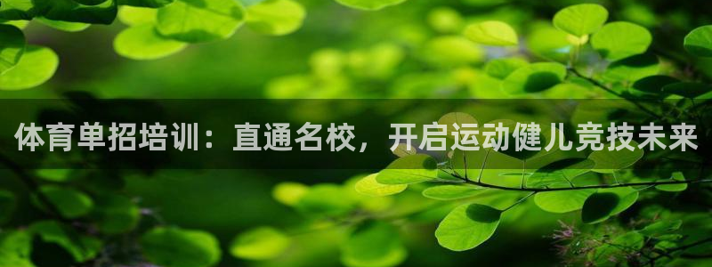耀世集团王大聪图片：体育单招培训：直通名校，开启运动