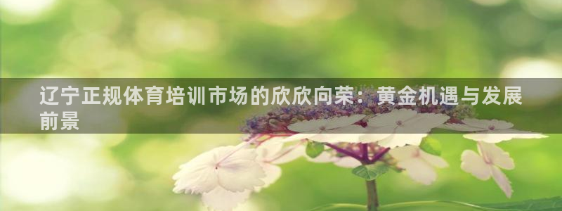 耀世登场之类的广告词：辽宁正规体育培训市场的欣欣向荣