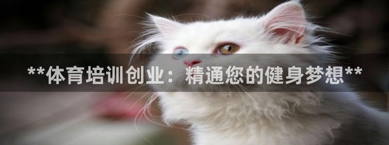 耀世平台登录地址是什么：**体育培训创业：精通您的健