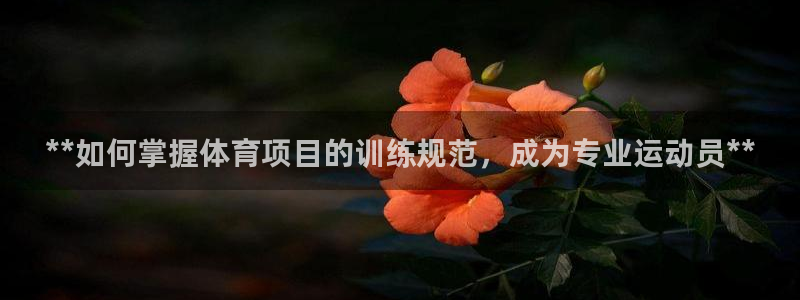 耀世天下的图片：**如何掌握体育项目的训练规范，成为