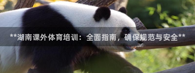 耀世娱乐平台主管：**湖南课外体育培训：全面指南，确
