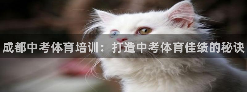 耀世是什么意思：成都中考体育培训：打造中考体育佳绩的秘诀