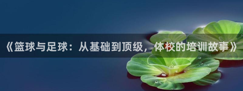 耀世平台注册步骤：《篮球与足球：从基础到顶级，体校的