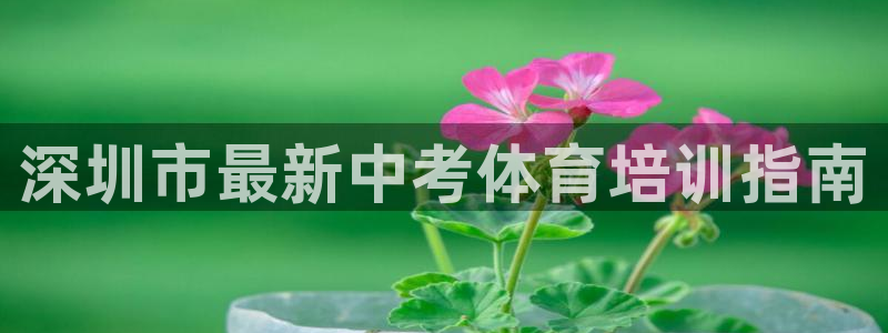 耀世天下的网名是什么意思啊男生：深圳市最新中考体育培