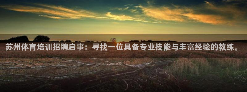 四川耀世发展集团